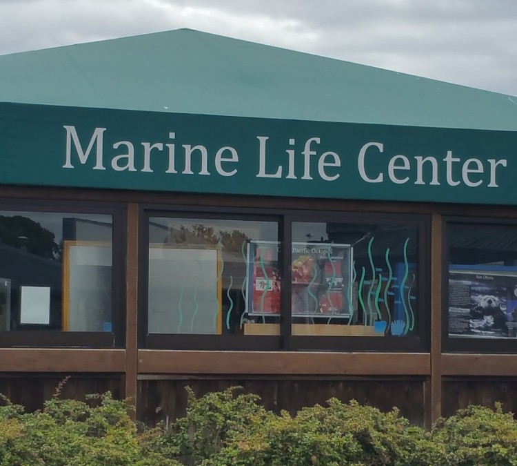 Marine Life Center (Bellingham,&nbspWA)